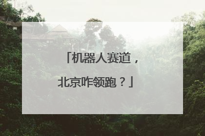 机器人赛道，北京咋领跑？