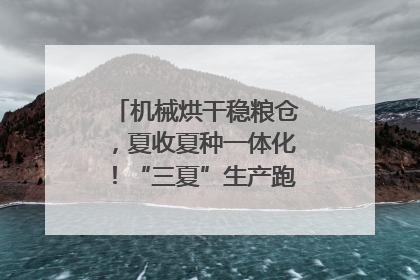 机械烘干稳粮仓，夏收夏种一体化！“三夏”生产跑出加速度｜麦报