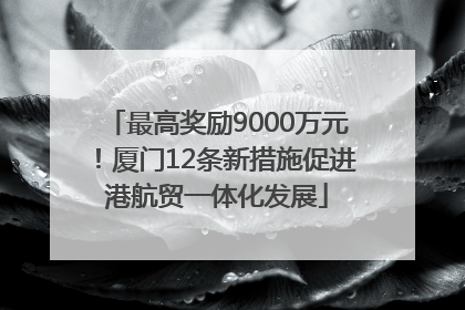 最高奖励9000万元！厦门12条新措施促进港航贸一体化发展