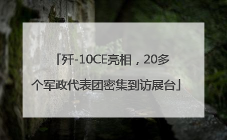 歼-10CE亮相，20多个军政代表团密集到访展台