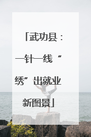 武功县：一针一线“绣”出就业新图景
