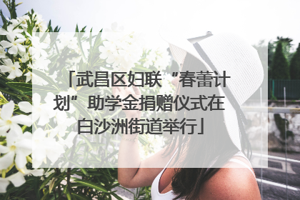 武昌区妇联“春蕾计划”助学金捐赠仪式在白沙洲街道举行
