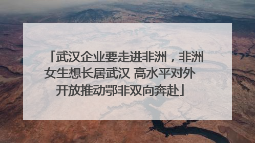 武汉企业要走进非洲，非洲女生想长居武汉 高水平对外开放推动鄂非双向奔赴