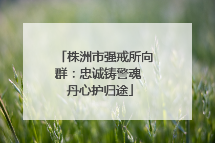 株洲市强戒所向群：忠诚铸警魂 丹心护归途
