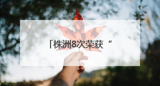 株洲8次荣获“全国双拥模范城”称号 厚植“双拥”沃土谱新篇