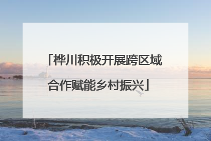 桦川积极开展跨区域合作赋能乡村振兴