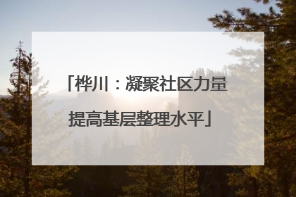 桦川：凝聚社区力量 提高基层整理水平