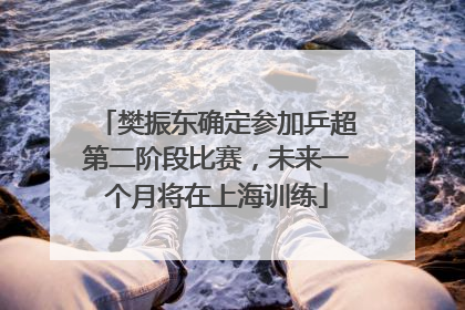 樊振东确定参加乒超第二阶段比赛，未来一个月将在上海训练