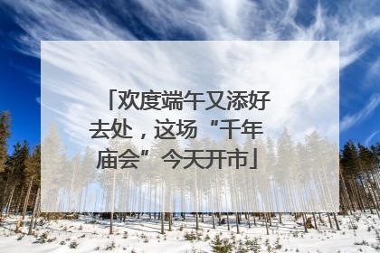 欢度端午又添好去处，这场“千年庙会”今天开市