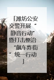 潍坊公安交警开展“静音行动”暨打击整治“飙车炸街”统一行动
