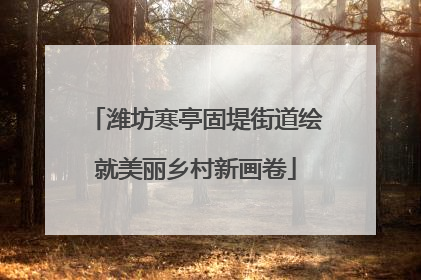 潍坊寒亭固堤街道绘就美丽乡村新画卷