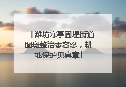 潍坊寒亭固堤街道图斑整治零容忍，耕地保护见真章