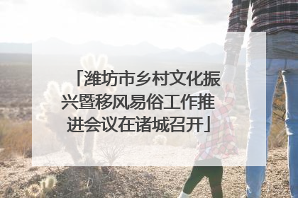 潍坊市乡村文化振兴暨移风易俗工作推进会议在诸城召开