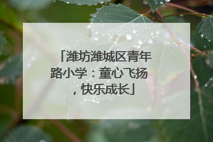 潍坊潍城区青年路小学：童心飞扬，快乐成长