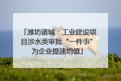 潍坊诸城：工业建设项目涉水类审批“一件事” 为企业提速增值