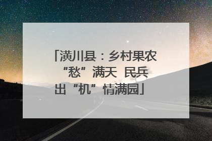 潢川县：乡村果农“愁”满天  民兵出“机”情满园