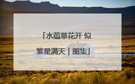 水蕴草花开 似繁星满天｜图集
