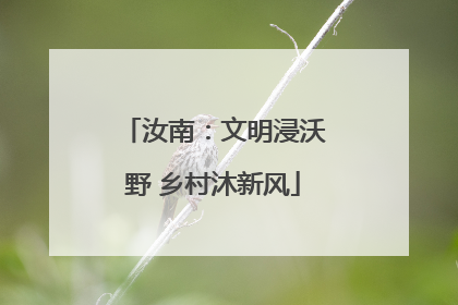 汝南：文明浸沃野 乡村沐新风