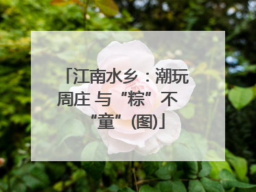 江南水乡：潮玩周庄 与“粽”不“童”(图)