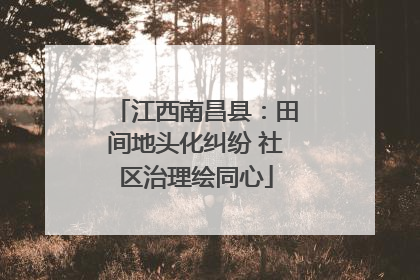 江西南昌县：田间地头化纠纷 社区治理绘同心