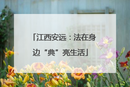 江西安远：法在身边“典”亮生活