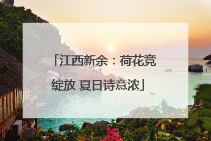 江西新余：荷花竞绽放 夏日诗意浓