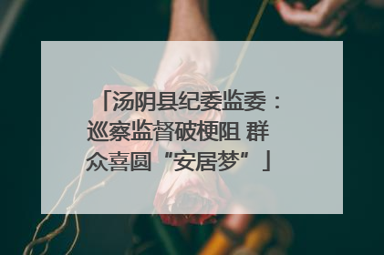 汤阴县纪委监委：巡察监督破梗阻 群众喜圆“安居梦”