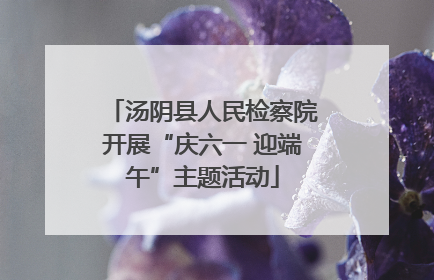汤阴县人民检察院开展“庆六一 迎端午”主题活动