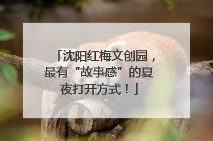 沈阳红梅文创园，最有“故事感”的夏夜打开方式！