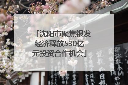 沈阳市聚焦银发经济释放530亿元投资合作机会