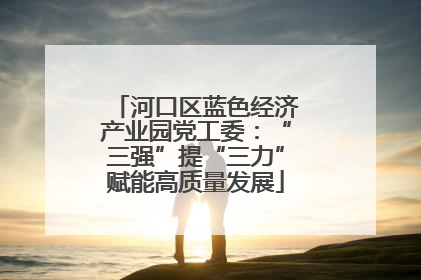 河口区蓝色经济产业园党工委：“三强”提“三力”赋能高质量发展