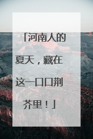 河南人的夏天，藏在这一口口荆芥里！