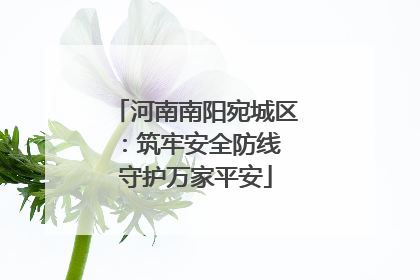 河南南阳宛城区：筑牢安全防线 守护万家平安