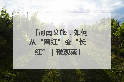 河南文旅，如何从“网红”变“长红”｜豫观察