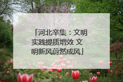 河北辛集：文明实践提质增效 文明新风蔚然成风