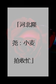 河北隆尧：小麦抢收忙