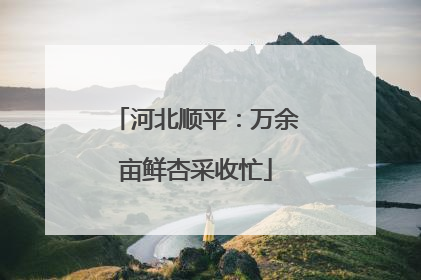 河北顺平：万余亩鲜杏采收忙