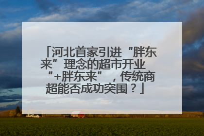 河北首家引进“胖东来”理念的超市开业 “+胖东来”，传统商超能否成功突围？