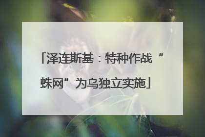 泽连斯基：特种作战“蛛网”为乌独立实施
