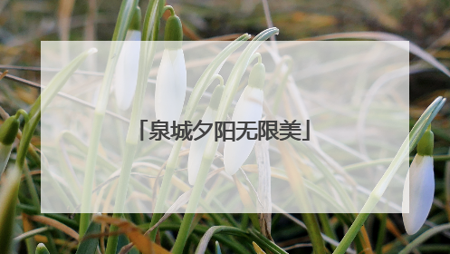 泉城夕阳无限美