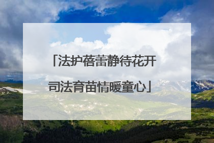 法护蓓蕾静待花开 司法育苗情暖童心