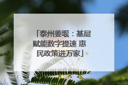 泰州姜堰：基层赋能数字提速 惠民政策进万家