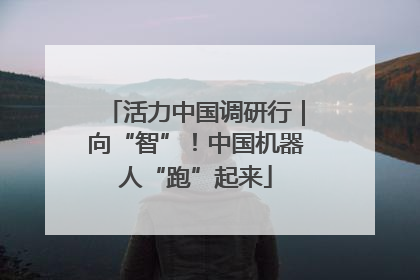 活力中国调研行｜向“智”！中国机器人“跑”起来