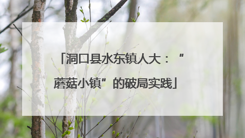 洞口县水东镇人大：“蘑菇小镇”的破局实践