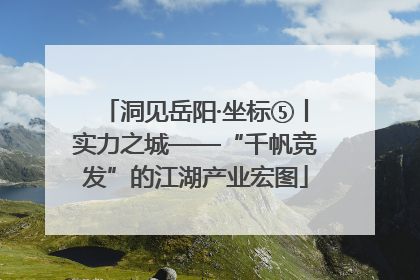 洞见岳阳·坐标⑤丨实力之城——“千帆竞发”的江湖产业宏图