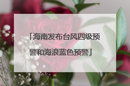 海南发布台风四级预警和海浪蓝色预警