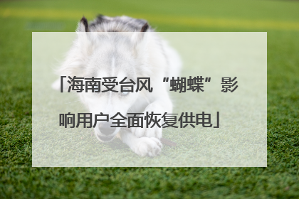海南受台风“蝴蝶”影响用户全面恢复供电