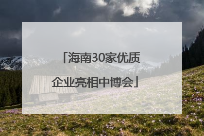 海南30家优质企业亮相中博会