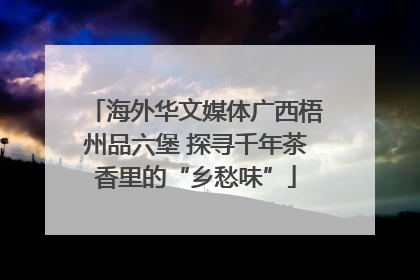 海外华文媒体广西梧州品六堡 探寻千年茶香里的“乡愁味”