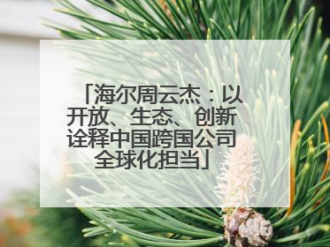 海尔周云杰：以开放、生态、创新诠释中国跨国公司全球化担当